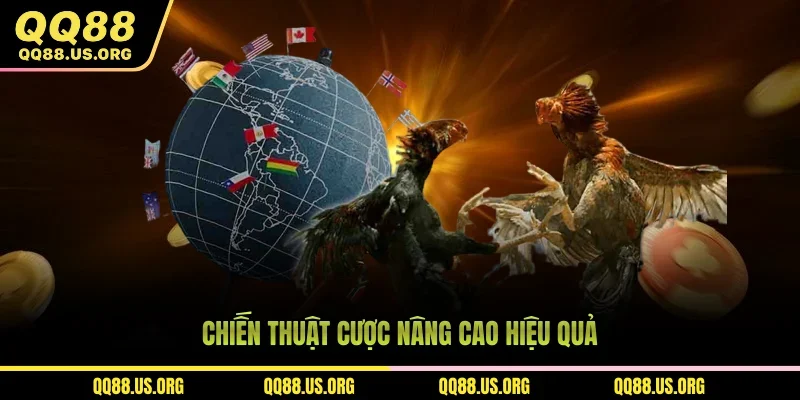 Chiến thuật cược nâng cao hiệu quả