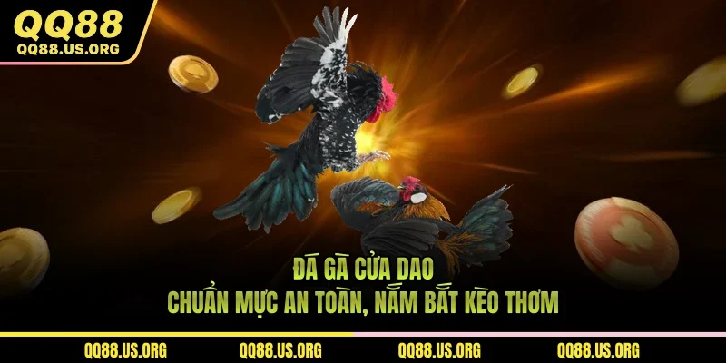 Đá Gà Cửa Dao – Chuẩn Mực An Toàn, Nắm Bắt Kèo Thơm