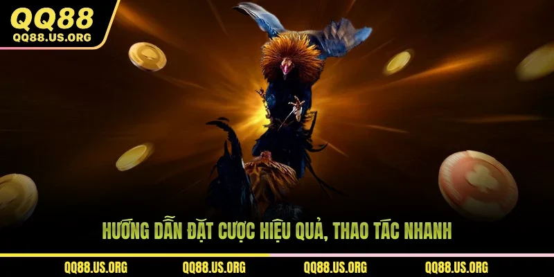 Hướng dẫn đặt cược hiệu quả, thao tác nhanh