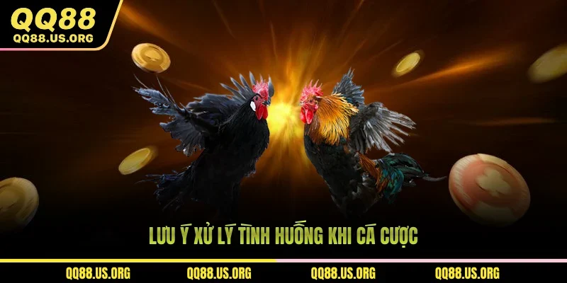 Lưu ý xử lý tình huống khi cá độ đá gà cựa sắt