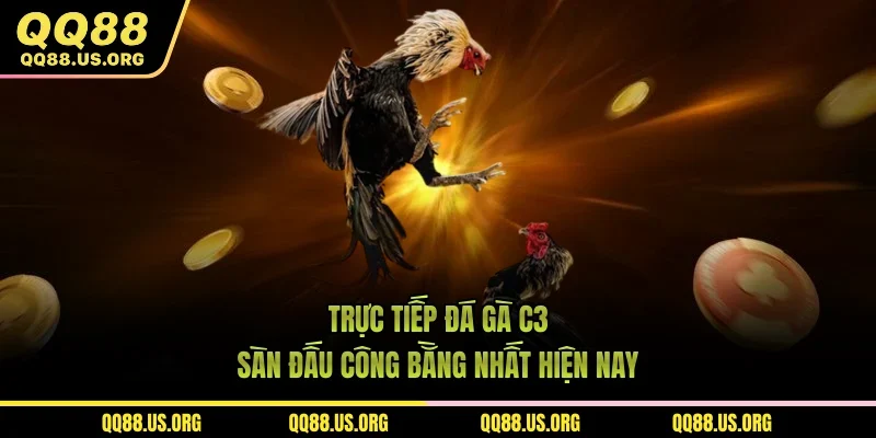 Trực Tiếp Đá Gà C3 – Sàn Đấu Công Bằng Nhất Hiện Nay
