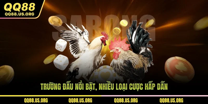 Trường đấu nổi bật, nhiều loại cược hấp dẫn