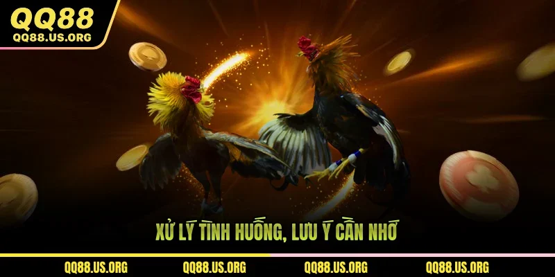 Xử lý tình huống khó đỡ trong trận trực tiếp đá gà C1